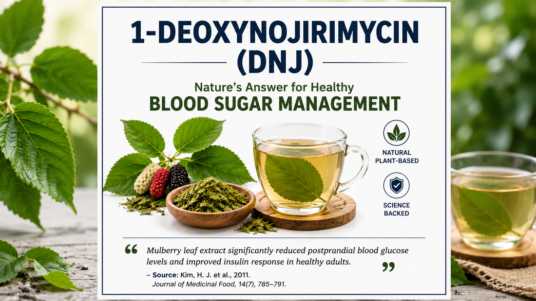 1-Deoxynojirimycin (DNJ): The Natural Compound Gaining Attention for Blood Sugar Management